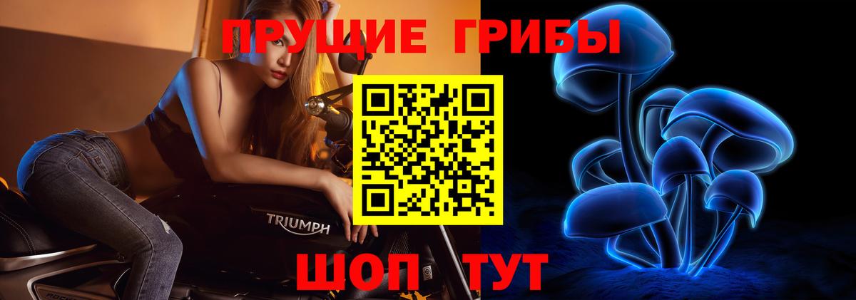 Псилоцибиновые грибы Psilocybine cubensis  Вход с VPN  Новодвинск 